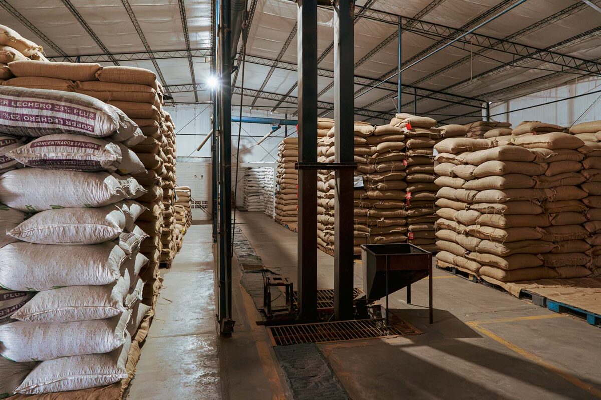 エルサルバドルでスペシャルティコーヒーを生産、輸出するCafe Pacasの生豆保管倉庫